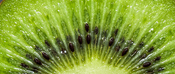 Detail of the pulp and seeds of fresh kiwi