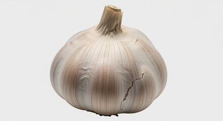 Whole garlic bulb with papery skin isolated on white background