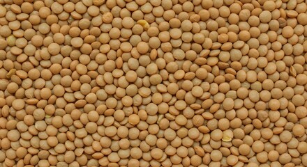 Fototapeta premium High Angle Shot of Raw Green Lentils Grain Texture, Nutritious Legume Seeds Background for Culinary Blog and Food Packaging Design