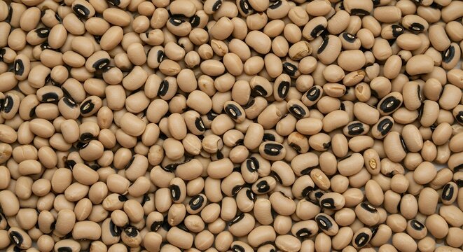 Macro shot of black-eyed peas, high-protein cowpea seeds background for organic food marketing and agricultural produce concepts