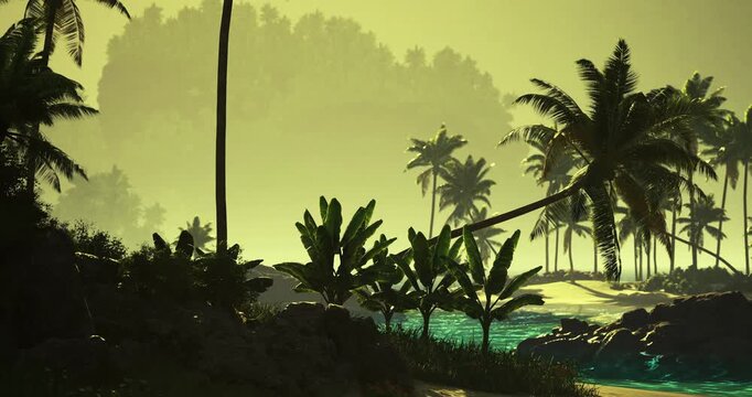 A tranquil tropical landscape features tall palm trees and lush vegetation alongside calm waters. The soft, muted light creates a peaceful atmosphere in the late evening.