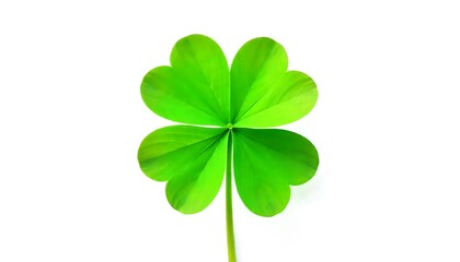 Rare Six-Leaf Clover &ndash; Vibrant Green Heart-Shaped Leaves Symbolizing Extraordinary Luck and Unique Fortune