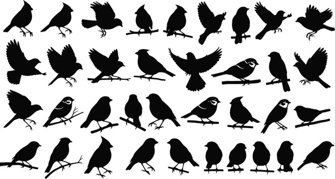 Black bird silhouettes collection featuring northern cardinals and sparrows perched on branches and flying in set of vector nature icons.