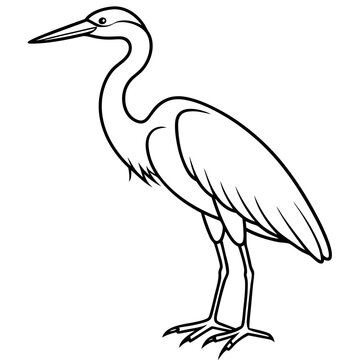 Heron line art vector