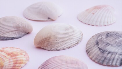 淡いピンクの背景に並べられた美しい貝殻、コピースペースのある高解像度イメージ
Beautiful seashells arranged on soft pink background, high‑resolution image with ample copy space
