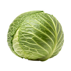 Obraz premium Fresh Green Cabbage Head Isolated on White Background. Raw Organic Vegetable.