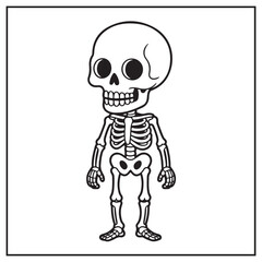 Fototapeta premium Human Physiology