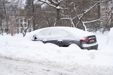 Rear of dark sedan car protrudes from tall snowdrift amid bare bushes and trees near residential...