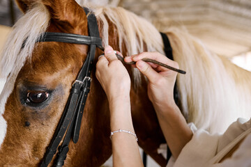 Hands adjusting bridle on calm chestnut horse inside sunlit stable