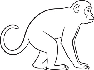 Fototapeta premium silhouette of clean vector of Monkey isolated on white background