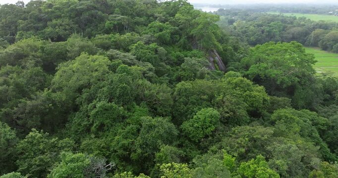 Aerial View of Dark Rock Formations and Tropical Forest around Sigiriya, Sri Lanka