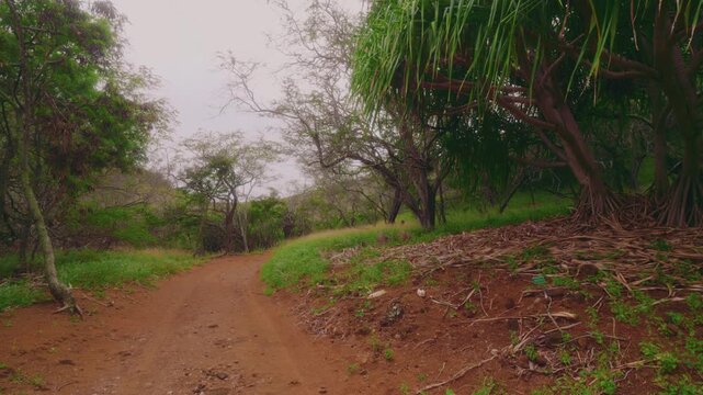 Footage showing the unpaved, reddish-dirt trail that loops through the Koko Crater Botanical Garden, a unique dry-land forest ecosystem located within an ancient volcanic cinder cone in Hawaii Kai, Oa