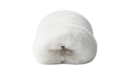 mittens png white mittens png faux fur mittens png winter wear png transparent background image