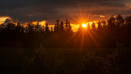 spectacular dramatic sunset or sunrise over the forest. the bright low sun with long sunbeams shines through the silhouettes of treetops. cloudy sky with orange glow. landscape photo in 16x9 format