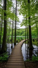 Obraz premium A serene wooden boardwalk meanders through a lush forest beside a tranquil lake on a bright day