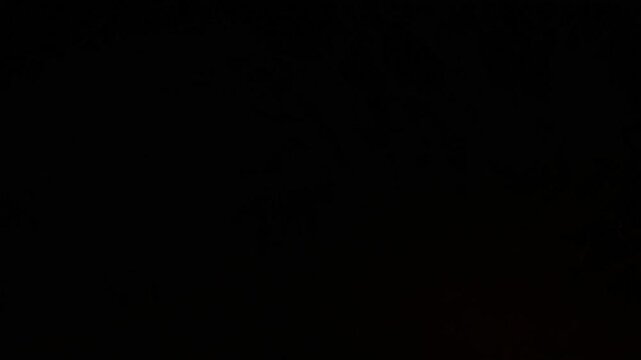 Campfire Burning at Night, Warm Fire Flames in Dark Outdoor Scene