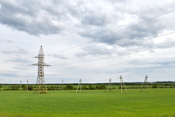 Power lines in a green field, Russia
