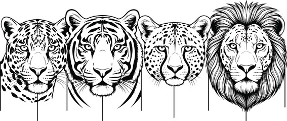 Wild big cat head illustration set featuring leopard tiger cheetah and lion black white vector art © Sumon Creative