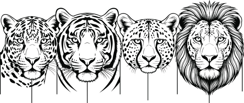 Wild big cat head illustration set featuring leopard tiger cheetah and lion black white vector art