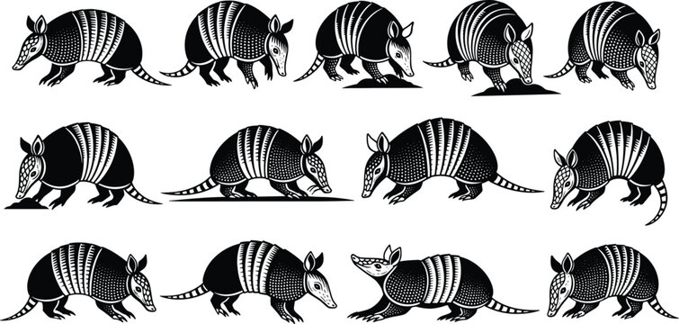 Armadillo engraved illustration set with multiple walking poses black white wildlife animal vector collection