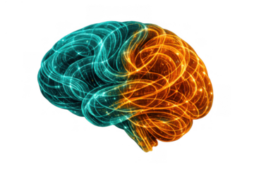Brain with glowing neural network illustrating artificial intelligence, digital thinking, and neuroscience concepts