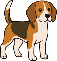 beagle dog isolated on white