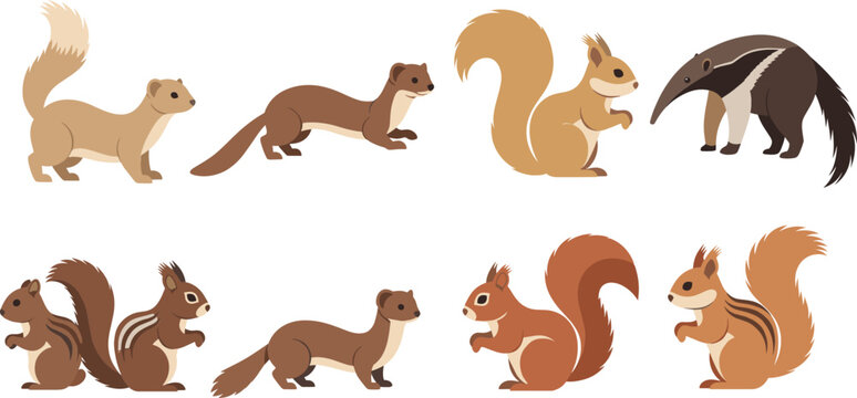 Cute forest animal character set featuring squirrel ferret chipmunk and anteater cartoon wildlife vector illustration