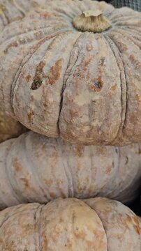Pile of Pumkins: Close-up of stacked pumpkins showcases the unique texture and form, celebrating nature's autumnal abundance and the essence of harvest season.
