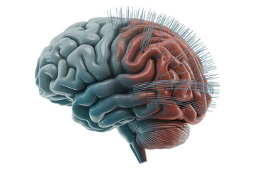 Advanced Cybernetic Brain Symbolizing Bio Tech Fusion on Transparent Background