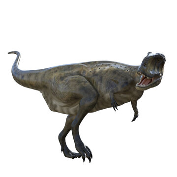 Tyrannosaurus Rex Attacking