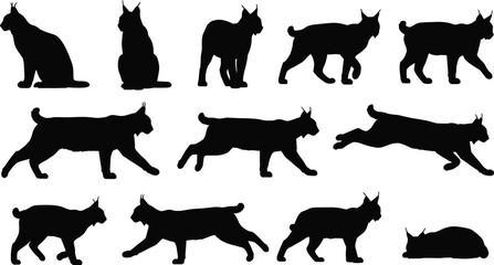 Obraz premium Lynx silhouette animation set with sitting walking running jumping poses black wild cat vector illustration collection