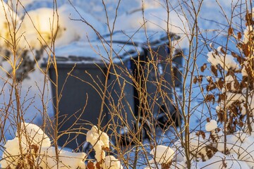 Close up view of winter hedge between residential villas where sharp branches stand out against softly blurred waste containers. Sweden.