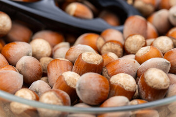 A black nutcracker and many hazelnuts. The nutcracker is arranged against a background of hazelnuts.