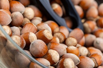 A black nutcracker and many hazelnuts. The nutcracker is arranged against a background of hazelnuts.