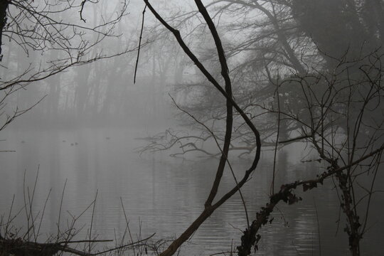 Winterlandschaft