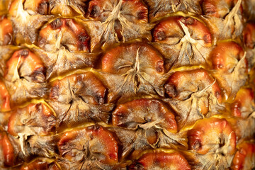 Ripe pineapple peel texture closeup