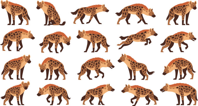 Spotted hyena character set with multiple walking running sitting poses wild African animal vector illustration