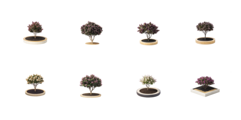 Collection of various flowering potted trees showcasing different container styles and bloom colors for landscape design on transparent background