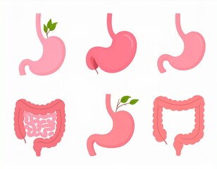 Fototapeta premium Human Digestive Organs Flat Medical Icons