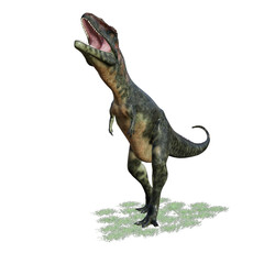 Fototapeta premium Roaring Tyrannosaurus Rex on White Background