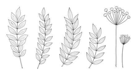 Set of delicate black and white hand-drawn leaf branches and floral elements, perfect for vintage or botanical design themes on white.