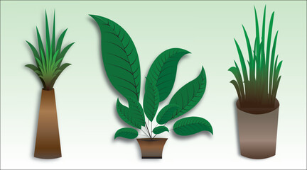 Modern plants decor with abstract wave line art template.