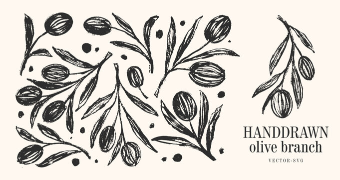 Botanical Herb Olive Branch Clip Art Vector for olive oil logo or olive icon, hand drawn olive branch elements in vector format, floral olive frame and border	