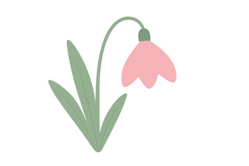 Pink flower with green leaves standing upright against a white background during a simple design display © Andrei