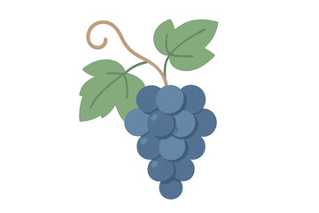 Bunch of grapes hangs on vine with green leaves in simple design