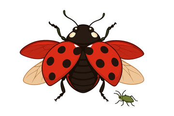 Fototapeta premium Ladybug and small green insect on a white background with a simple design showcasing their features and colors