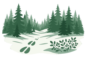Snowy path through evergreen trees with animal tracks and plants along the side in a winter forest setting © Andrei