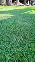 High quality synthetic lawn texture with soft blades and natural green color for landscaping and outdoor decoration