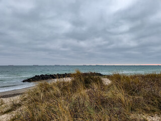 beach in the netherlands