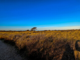 sunset in the steppe